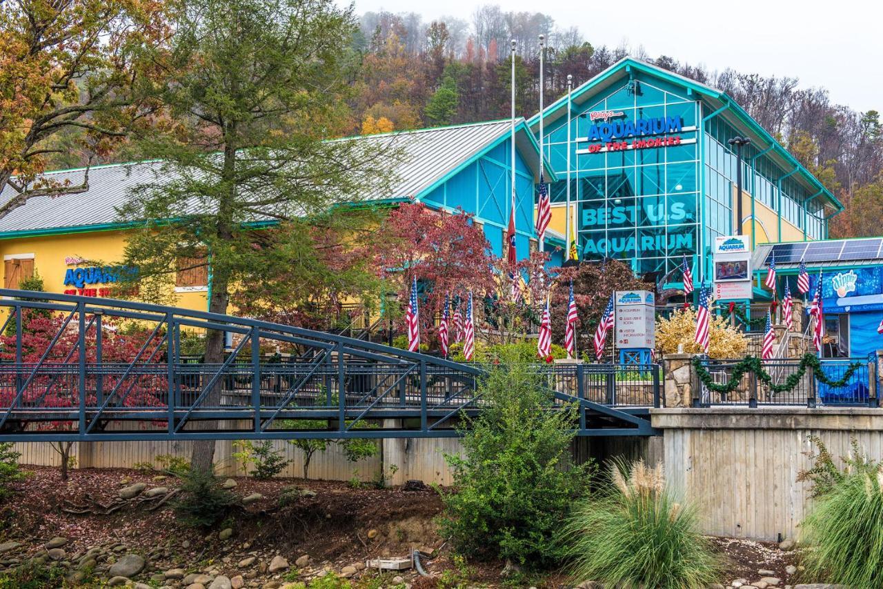 Villa Huckleberry Ridge Pigeon Forge Esterno foto